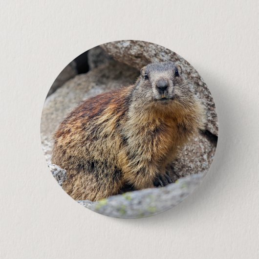 Alpenmarmot-Abzeichen Button (Vorderseite)