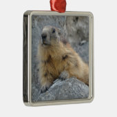 Alpenmarmot auf dem Felsen Ornament Aus Metall (Rechts)