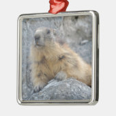 Alpenmarmot auf dem Felsen Ornament Aus Metall (Links)