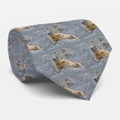 Alpenmarmot auf der Krawatte Roch (Gerollt)