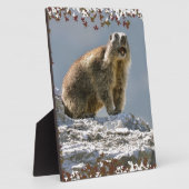 Alpenmarmotte im Rahmen von Blätter (Seite)