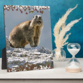 Alpenmarmotte im Rahmen von Blätter (Seite)