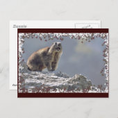 Alpenmarmotte im Rahmen von Blätter Postkarte (Vorne/Hinten)