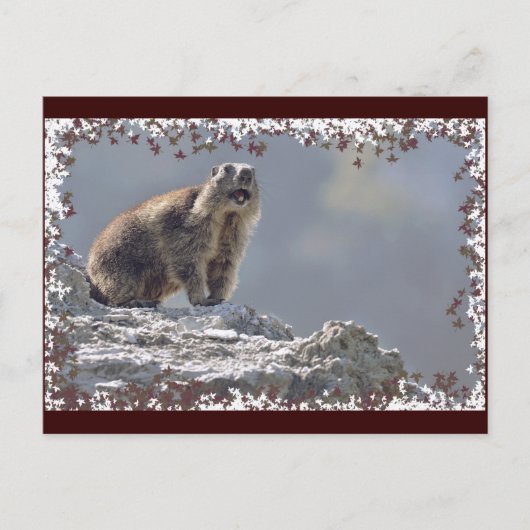 Alpenmarmotte im Rahmen von Blätter Postkarte (Vorderseite)