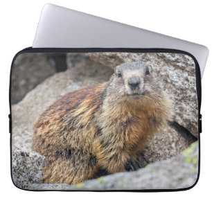 Alpenmurmeltier Laptop-Hülle Laptopschutzhülle