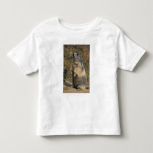 Alpenmurmeltier, Marmota marmota, Erwachsener steh Kleinkind T-shirt