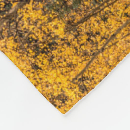 Alpenschleife | Silverton, Colorado Fleecedecke (Ecke)