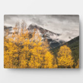 Alpenschleife | Silverton, Colorado Fotoplatte (Vorderseite)