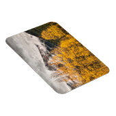 Alpenschleife | Silverton, Colorado Magnet (Rechte Seite)