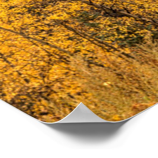 Alpenschleife | Silverton, Colorado Poster (Ecke)