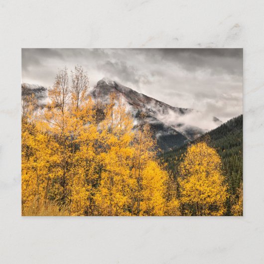 Alpenschleife | Silverton, Colorado Postkarte (Vorderseite)