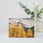 Alpenschleife | Silverton, Colorado Postkarte (Stehend Vorderseite)