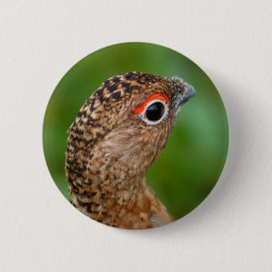 Alpenschneehuhn Button
