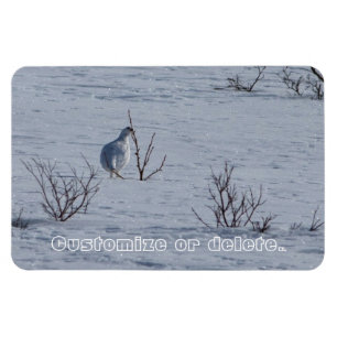Alpenschneehuhn Snacking; Kundengerecht Magnet