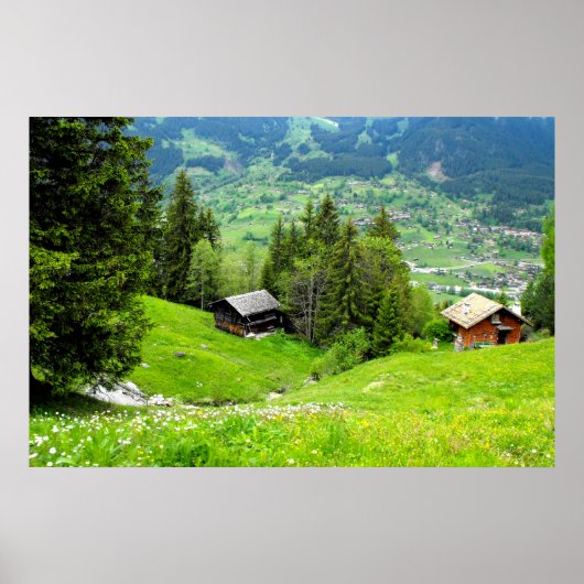 Alpensommer in der Schweiz Poster (Vorne)
