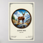 Alpensteinbock Zoologie-Serie Poster (Vorne)