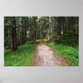 Alpenwald Poster (Vorne)