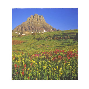 Alpenwildblumen am Logan Pass im Glacier Notizblock