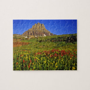 Alpenwildblumen am Logan Pass im Glacier Puzzle