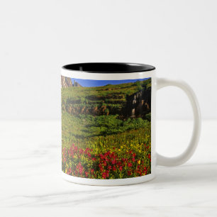 Alpenwildblumen am Logan Pass im Glacier Zweifarbige Tasse