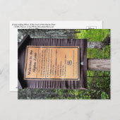 Alpenzone - Weißer Berg Nationalwald Postkarte (Vorne/Hinten)