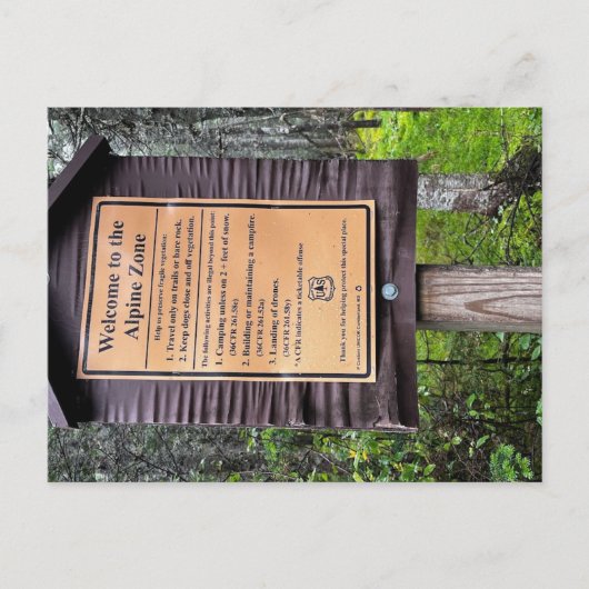 Alpenzone - Weißer Berg Nationalwald Postkarte (Vorderseite)