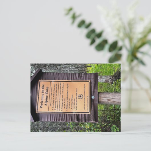 Alpenzone - Weißer Berg Nationalwald Postkarte (Stehend Vorderseite)