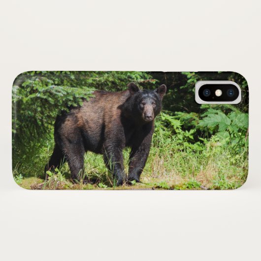Alpha Black Bear Case-Mate iPhone Hülle (Rückseite (Horizontal))