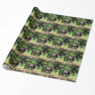 Alpha Black Bear Geschenkpapier
