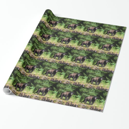 Alpha Black Bear Geschenkpapier (Ungerollt)