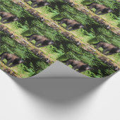 Alpha Black Bear Geschenkpapier (Ecke)