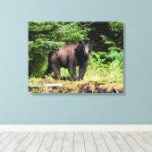 Alpha Black Bear Leinwanddruck (Insitu (Holzboden))