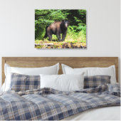 Alpha Black Bear Leinwanddruck (Insitu (Schlafzimmer))