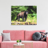 Alpha Black Bear Leinwanddruck (Insitu (Wohnzimmer))
