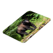 Alpha Black Bear Magnet (Linke Seite)