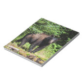Alpha Black Bear Notizblock (Rotiert)
