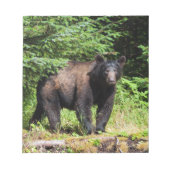 Alpha Black Bear Notizblock (Vorderseite)