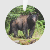 Alpha Black Bear Ornament (Vorderseite)