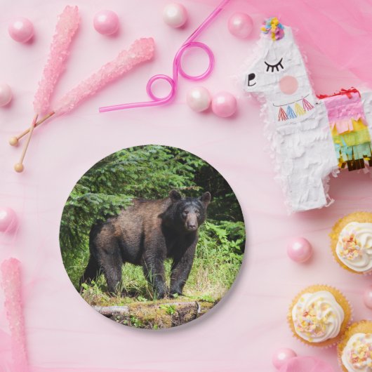 Alpha Black Bear Pappteller (Party)