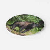 Alpha Black Bear Pappteller (Schrägansicht)
