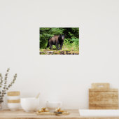 Alpha Black Bear Poster (Küche)