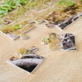 Alpha Black Bear Puzzle (Seite)