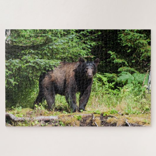 Alpha Black Bear Puzzle (Horizontal)
