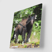 Alpha Black Bear Quadratische Wanduhr (Winkel)