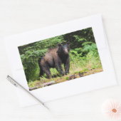 Alpha Black Bear Rechteckiger Aufkleber (Umschlag)