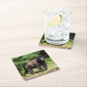 Alpha Black Bear Rechteckiger Pappuntersetzer (Vor Ort)
