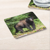 Alpha Black Bear Rechteckiger Pappuntersetzer (angewinkelt)