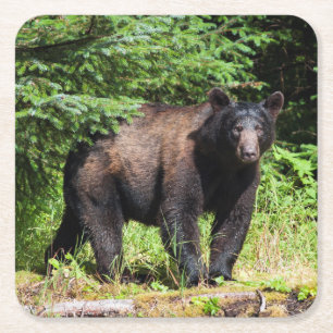 Alpha Black Bear Rechteckiger Pappuntersetzer