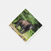 Alpha Black Bear Serviette (Ecke)