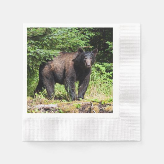 Alpha Black Bear Serviette (Vorderseite)